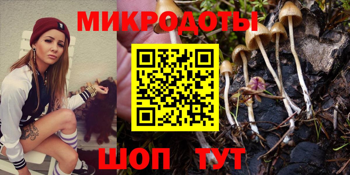 Галлюциногенные грибы Psilocybine cubensis  Вход с VPN  Северобайкальск 
