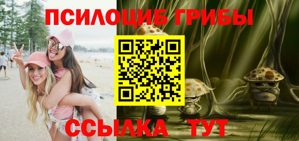 Галлюциногенные грибы мухоморы Северобайкальск